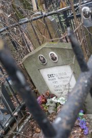 Свердлова Рахиля Берковна, Москва, Востряковское кладбище