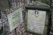 Зальцман Дора Бенциановна, Москва, Востряковское кладбище