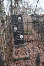 Гольденберг Иосиф Моисеевич, Москва, Востряковское кладбище