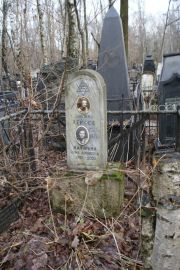 Качуркина Анна Ароновна, Москва, Востряковское кладбище