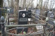 Гольдин Николай Исаевич, Москва, Востряковское кладбище