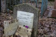 Фрумкина Анна Михайловна, Москва, Востряковское кладбище