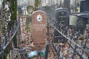Шнейберг Иосиф Яковлевич, Москва, Востряковское кладбище