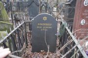 Крапивнер Буня Ароновна, Москва, Востряковское кладбище