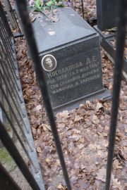 Косолапова Д. Е., Москва, Востряковское кладбище