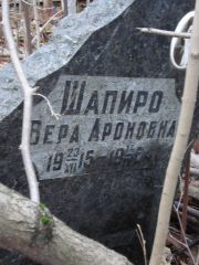 Шапиро Вера Ароновна, Нижний Новгород, Кладбище Марьина Роща