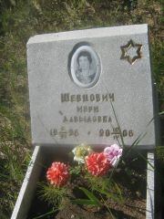 Шевцович Мэри Давыдовна, Пермь, Северное кладбище