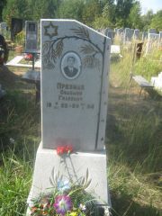 Презман Соломон Гилеевич, Пермь, Северное кладбище