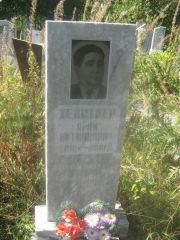Хейстер Арон Литманович, Пермь, Северное кладбище