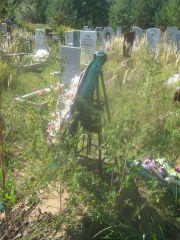 Левина Сима Моисеевна, Пермь, Северное кладбище