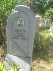 Спектор Раиса Мироновна, Пермь, Северное кладбище