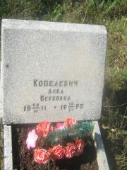 Копелевич Либа Неуховна, Пермь, Северное кладбище