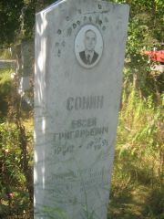 Сонин Евсей Григорьевич, Пермь, Северное кладбище