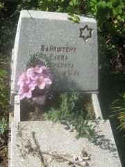 Вайнштейн Елена Борисовна, Пермь, Северное кладбище