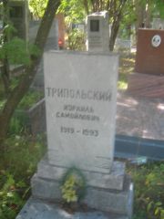 Трипольский Израиль Самойлович, Пермь, Северное кладбище