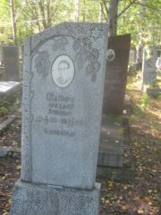 Шапиро Аркадий Зусевич, Пермь, Северное кладбище