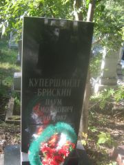 Купершмидт-Брискин Наум Самойлович, Пермь, Северное кладбище