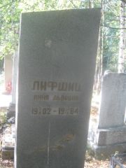 Лифшиц Анна Львовна, Пермь, Северное кладбище