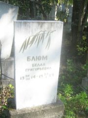 Блюм Белла Григорьевна, Пермь, Северное кладбище