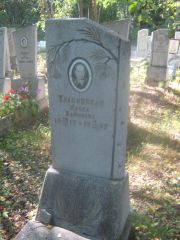 Лугинский Илья Абрамович, Пермь, Северное кладбище