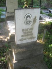 Коган Таубэ Эльевна, Пермь, Северное кладбище