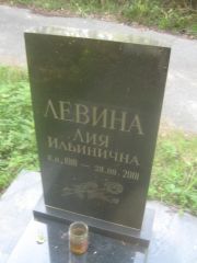 Левина Лия Ильинична, Пермь, Северное кладбище