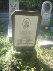 Шледзь Розалия Моисеевна, Пермь, Северное кладбище