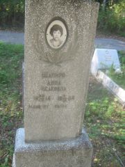 Шапиро Анна Исаковна, Пермь, Северное кладбище
