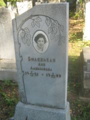 Биленькая Лия Давыдовна, Пермь, Северное кладбище