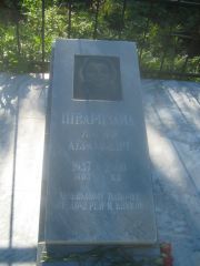 Шварцзайд Иосиф Абрамович, Пермь, Южное кладбище