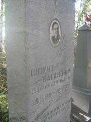 Шпунт-Каганович Цецилия Самуиловна, Пермь, Южное кладбище