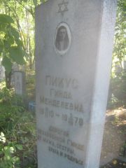 Пикус Гинда Менделевна, Пермь, Южное кладбище