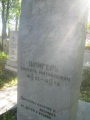 Шпигель Хаскель Михайлович, Пермь, Южное кладбище
