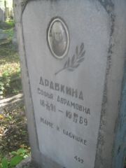 Драбкина Софья Абрамовна, Пермь, Южное кладбище