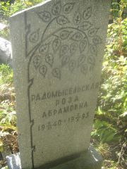 Радомысельская Роза Абрамовна, Пермь, Южное кладбище