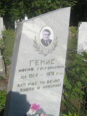 Генис Иосиф Григорьевич, Пермь, Южное кладбище