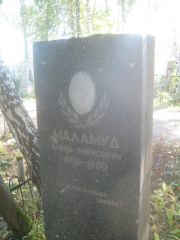 Маламуд Давид Борисович, Пермь, Южное кладбище