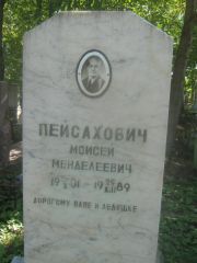 Пейсахович Моисей Менделевич, Пермь, Южное кладбище