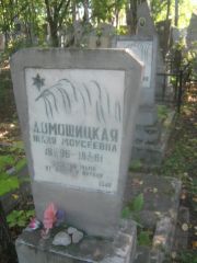 Домошицкая Юлия Моисеевна, Пермь, Южное кладбище