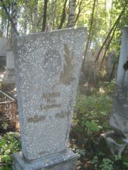 Левина Ида Хаимовна, Пермь, Южное кладбище