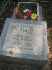 Пугач Роза Ароновна, Пермь, Южное кладбище