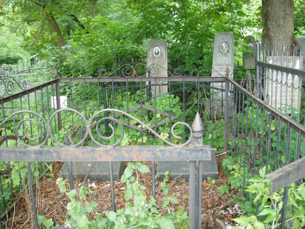 Позняк Софья исааковна, Полтава, Еврейское кладбище