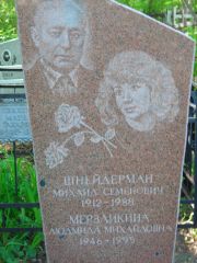 Шнейдерман Михаил Семенович, Самара, Центральное еврейское кладбище