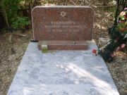 Рабинович Владимир Михайлович, Самара, Центральное еврейское кладбище