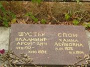 Шустер Владимир Аронович, Самара, Центральное еврейское кладбище