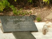 Чемейский Яков Исаакович, Самара, Центральное еврейское кладбище
