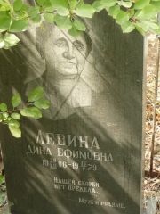 Левина Дина Ефимовна, Самара, Центральное еврейское кладбище