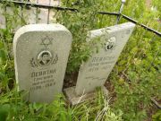 Левитин Григорий Абрамович, Самара, Центральное еврейское кладбище