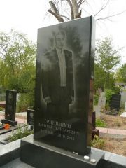 Гришпун Дмитрий Елизарович, Самара, Центральное еврейское кладбище