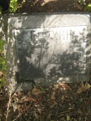Берхин Урэ Абрамович, Самара, Центральное еврейское кладбище